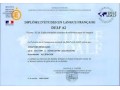 buy-french-language-certificates-for-sale-buy-delf-and-dalf-certificates-buy-torfl-certificate-small-0