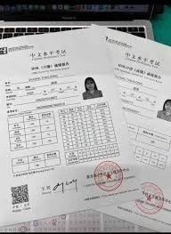 buy-original-hsk5-certificate-buy-chinese-language-level-2-hsk-2-big-4